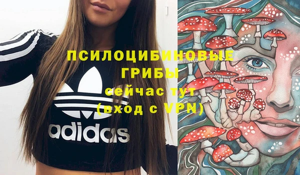 гидра Армянск