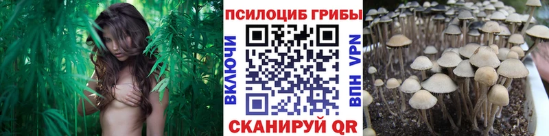 Псилоцибиновые грибы Magic Shrooms  omg сайт  Подпорожье 